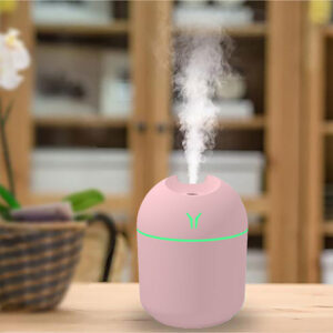 Mini Portable Humidifier
