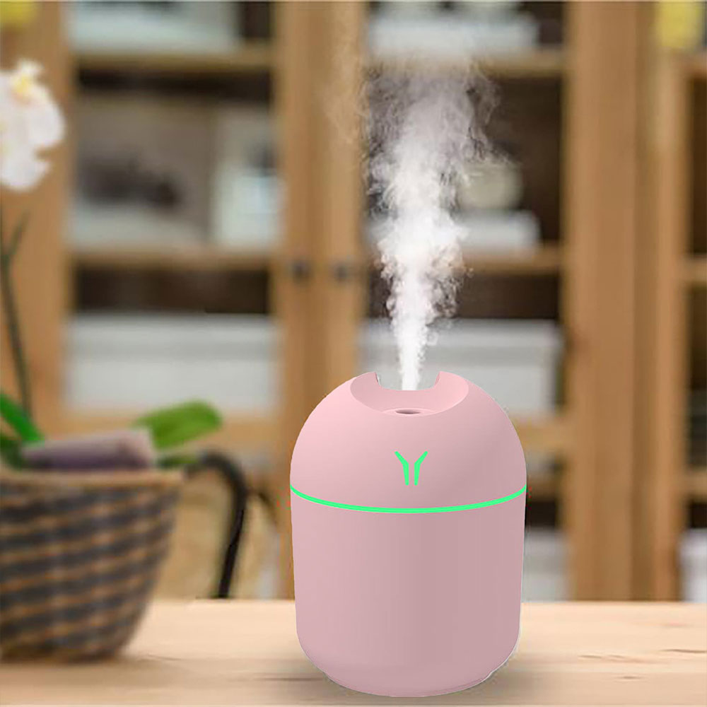 Mini Portable Humidifier